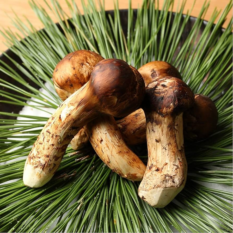 Amazon.co.jp: 【指定不可】ブータン松茸 300g 約6～8本 簡易箱